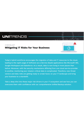 Mitigating IT Risks for Your Business